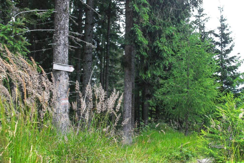 Skrita smerna tabla na povratku s Pristovškega Storžiča