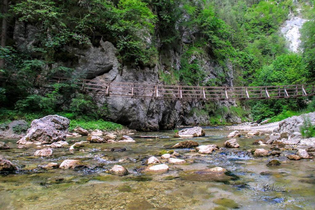 Razgled z visečega mostu čez Savinjo
