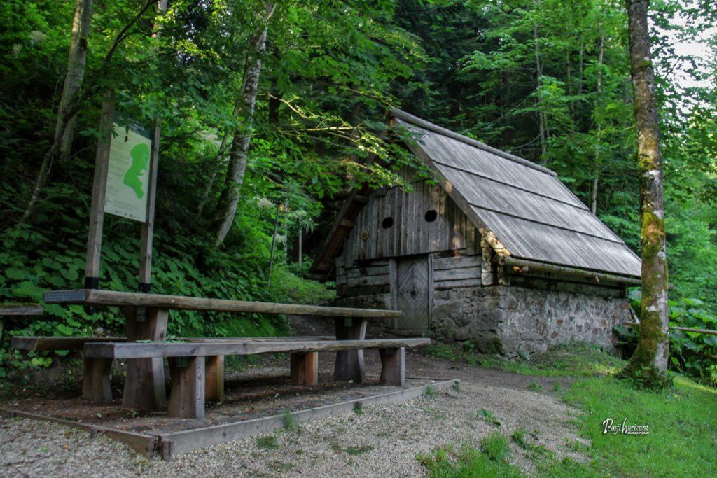 Okolica Žagerskega mlina pri Lučah na poti do Repovega slapu