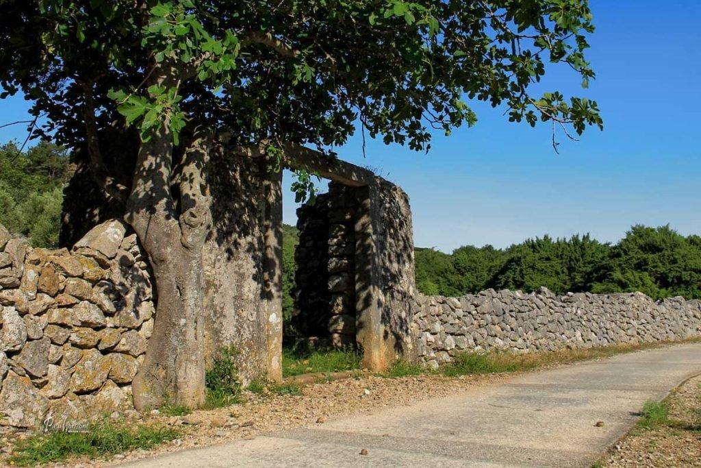 Ruševina ob pohodni poti proti kapelici sv. Antonio, Cres
