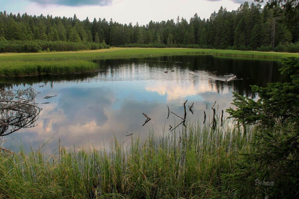 Črno jezero na Pohorju, odsev