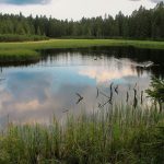 Črno jezero na Pohorju, odsev