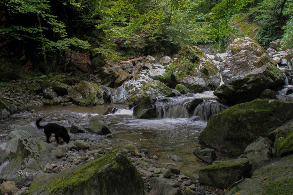 Korita Oplotnice, mali bazenček