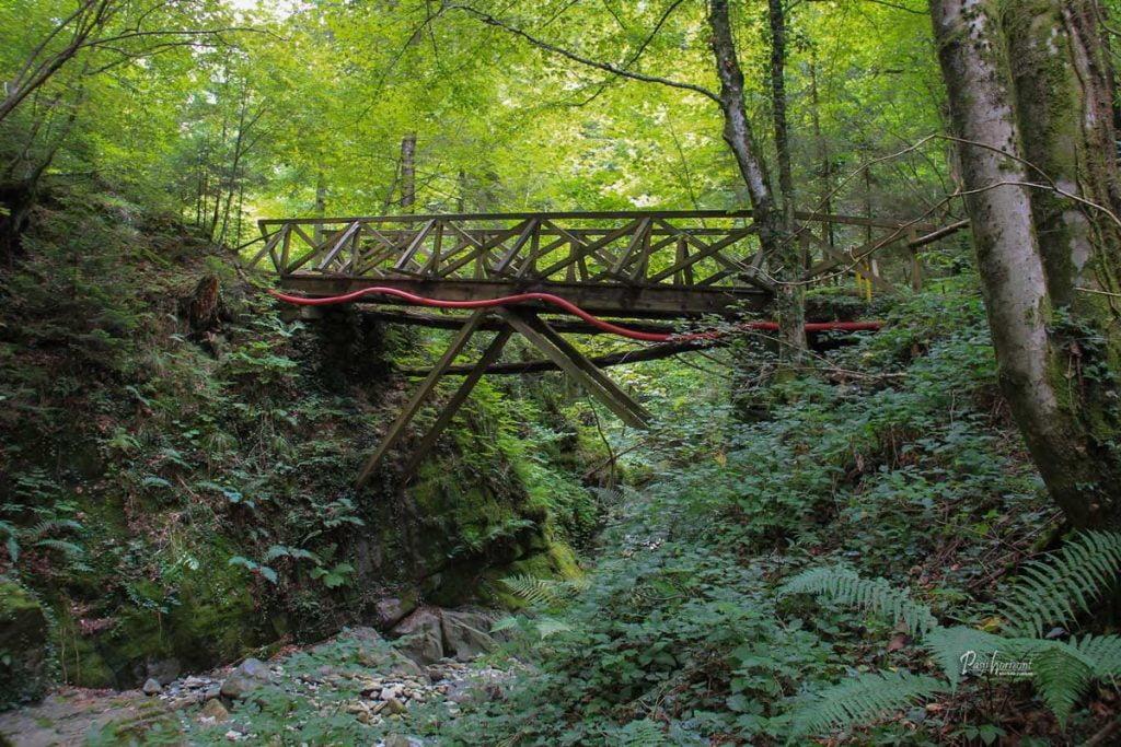 Most čez reko Oplotnico v Oplotniškem vintgarju