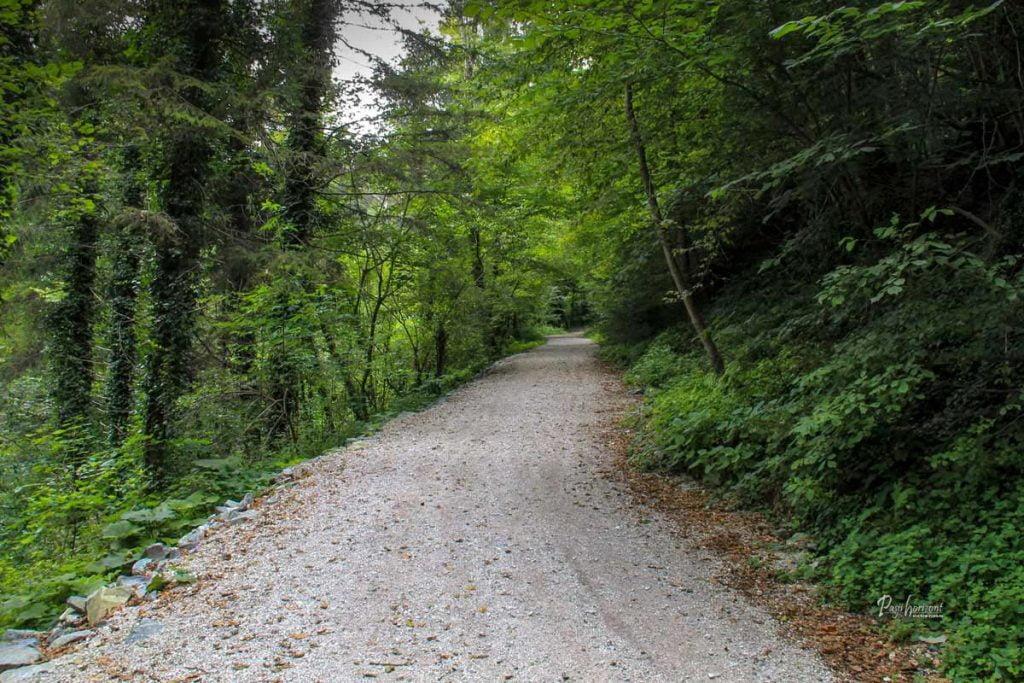 Oplotniški vintgar, začetek poti ob reki Oplotnici