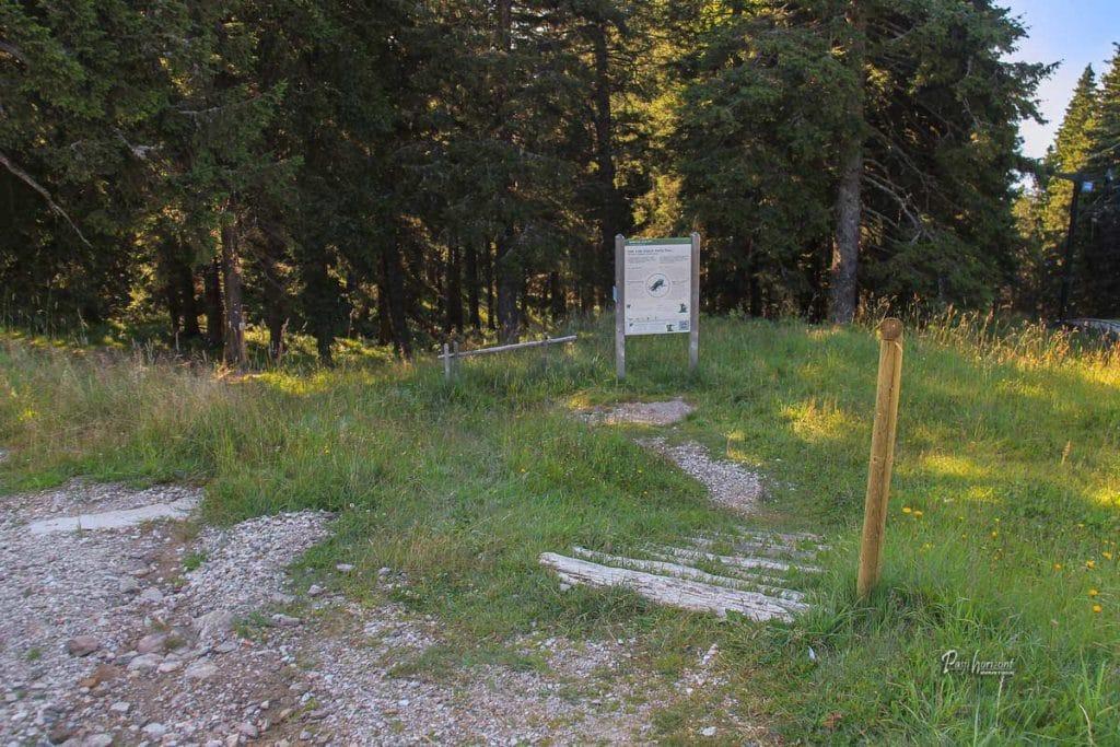 Vstop Škratove poti v gozd na Rogli