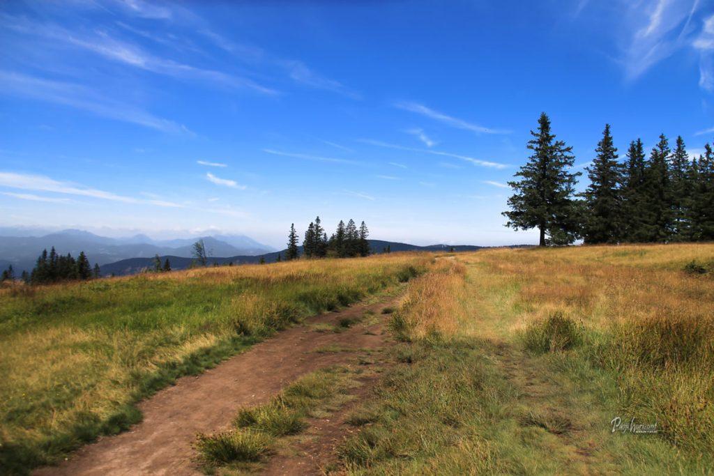 Volovska planja in Jezerski vrh na Pohorju