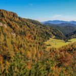 Odpre se razgled na planino Konjščica in miljavžent žarečih macesnov