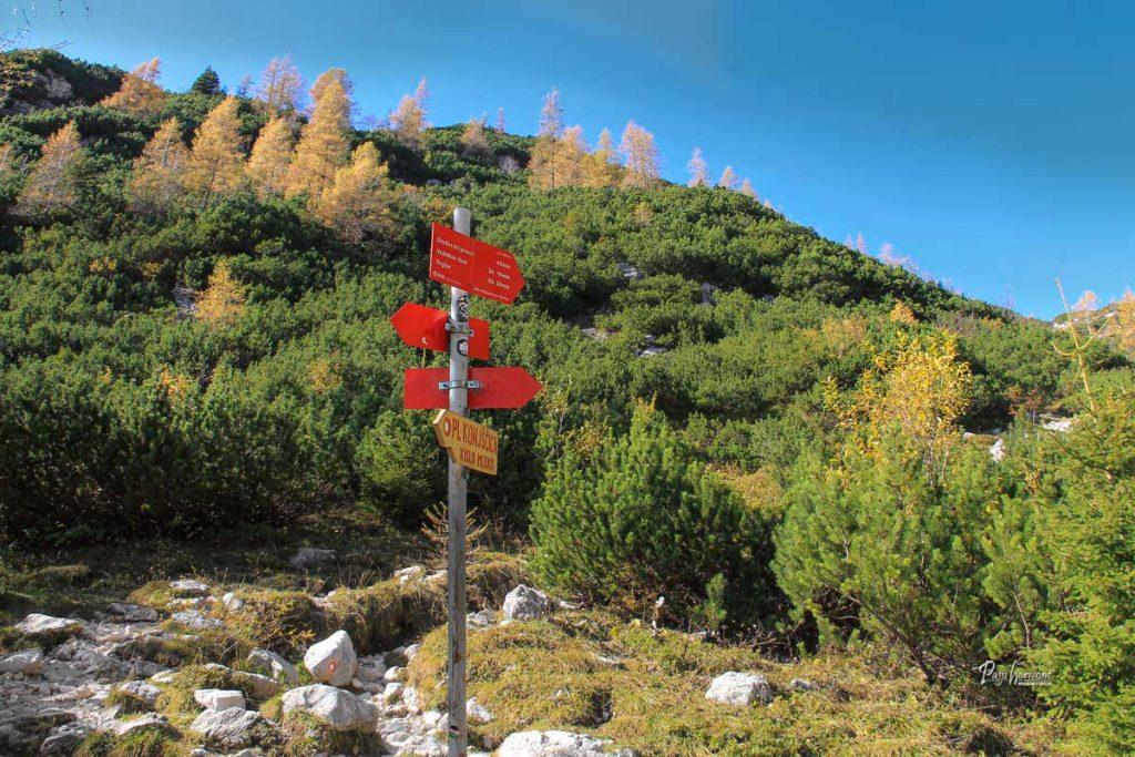 Smerna tabla za planino Konjščica, nadaljujemo desno proti Jezercem in macesnom