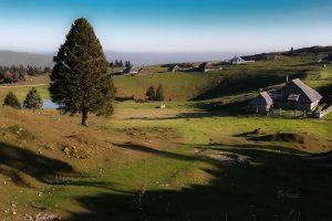 Pastirske koče na Mali planini