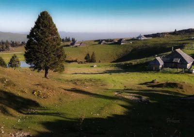 Pastirske koče na Mali planini, pogled z Jarške koče