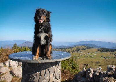 Pasji horizont, Gradišče 1666 nm, Velika planina