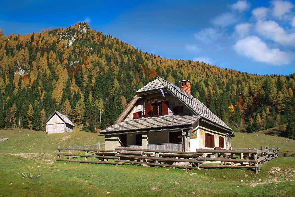 Pastirska koča na planini Konjščica med jesenskimi macesni