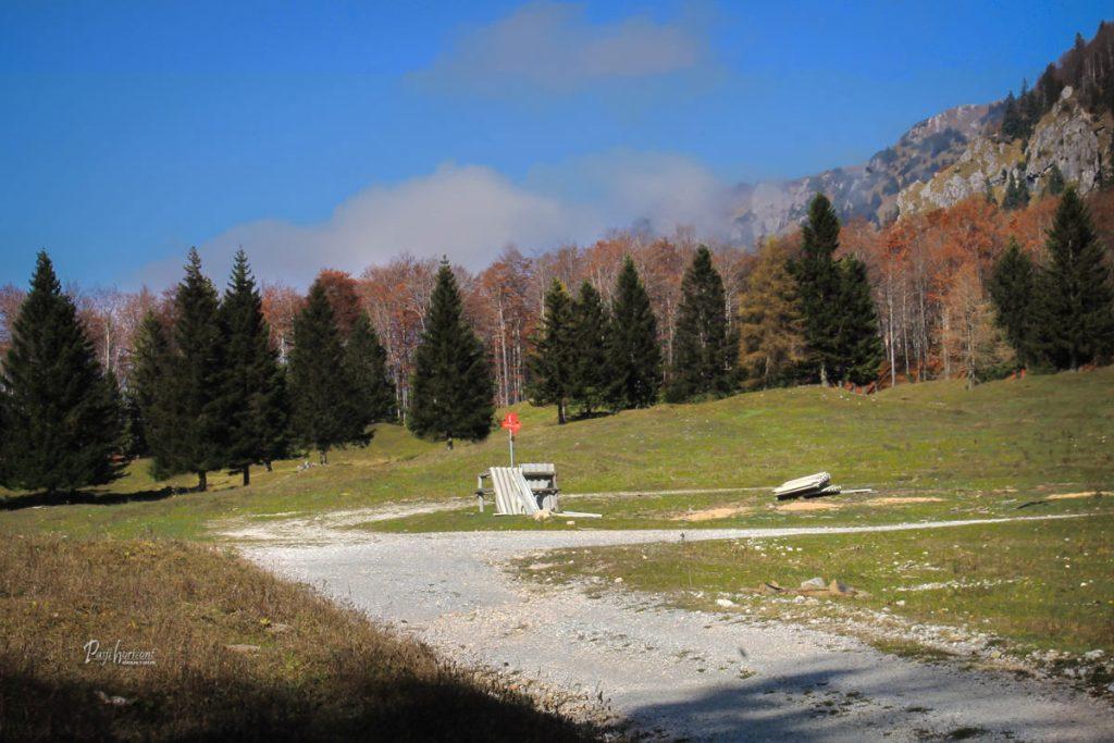 Planina Kisovec v jesenskih barvah