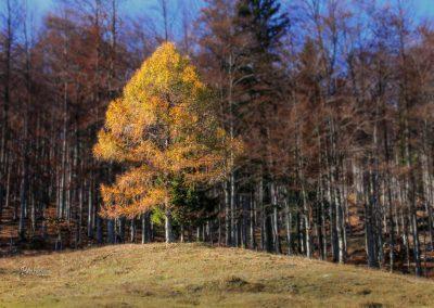 Jesenska planina Kisovec