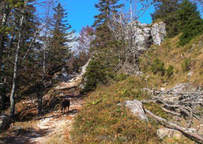 Nad planino Kisovec, utrinek