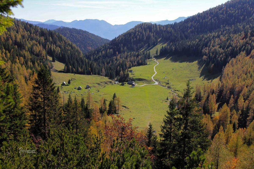 Jesenski macesni na Pokljuki in planina Konjščica