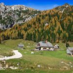 Jesenski macesni na Pokljuki – planina Konjščica
