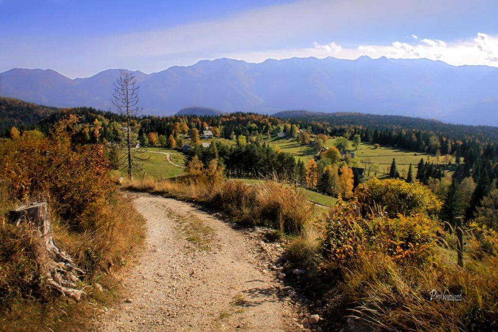 Planina Uskovnica na Pokljuki