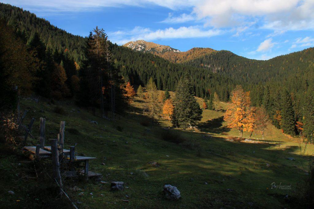 Mali Draški vrh in jesenski macesni na Pokljuki