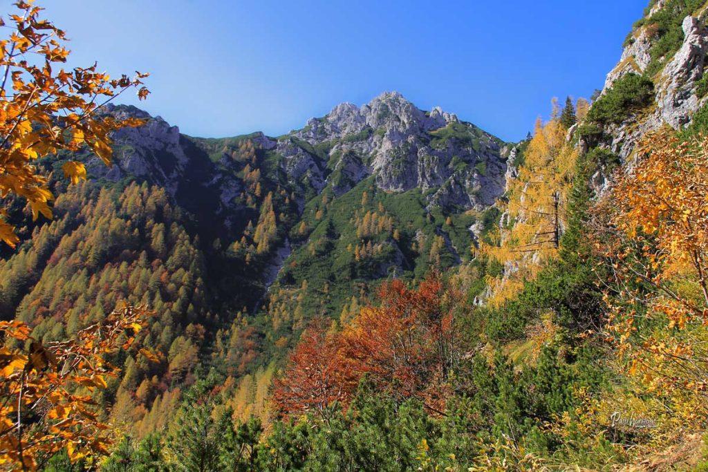 Veliki Draški vrh z jesensko obarvane Pokljuke