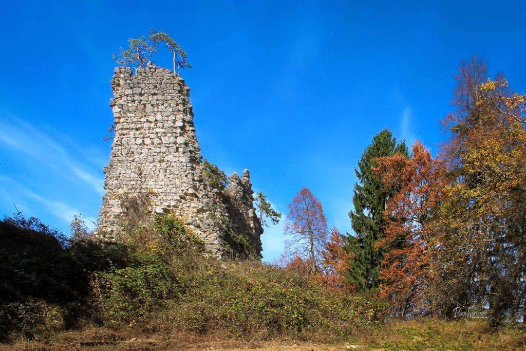 Ruševine Pustega oziroma Lipniškega gradu