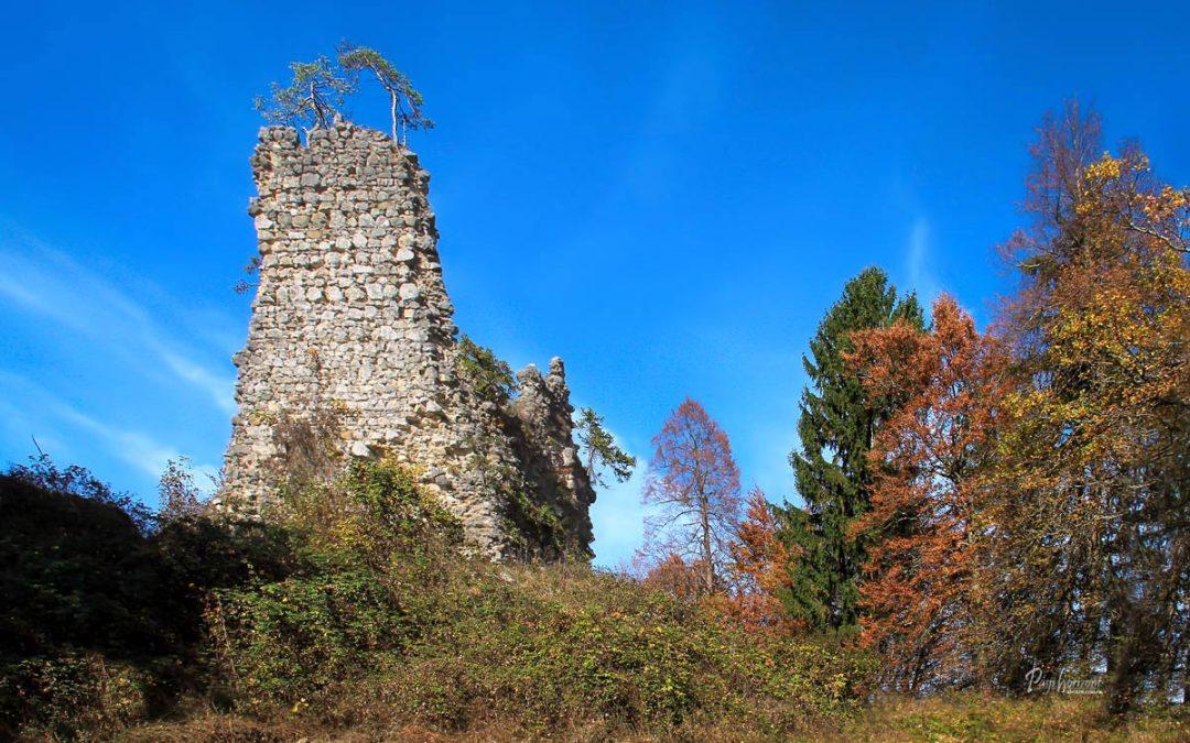 Pusti grad (Lipniški grad)