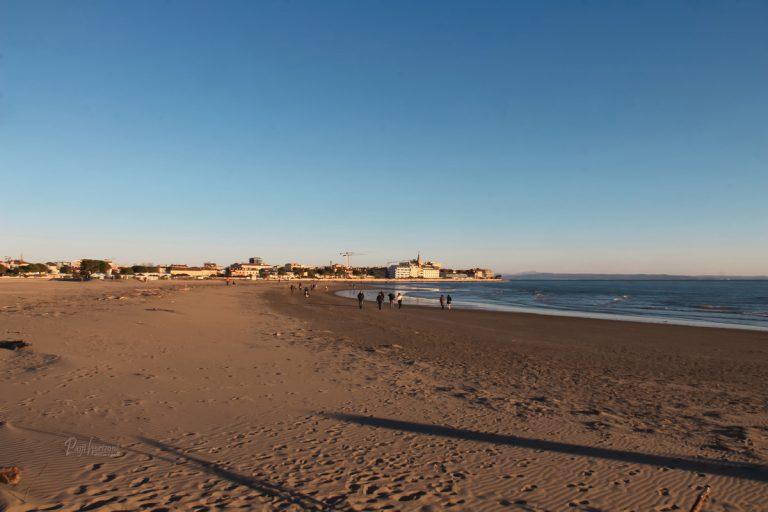 Pasji horizont na plaži v Gradežu