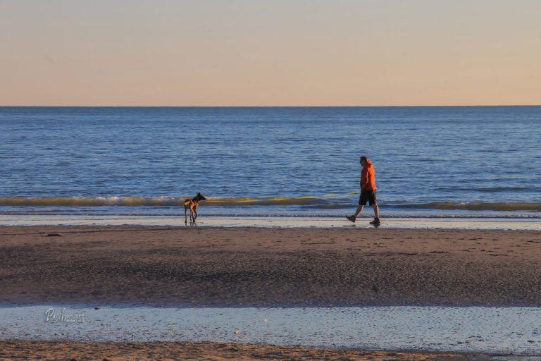 Sprehod s psom po peščeni plaži v Gradežu