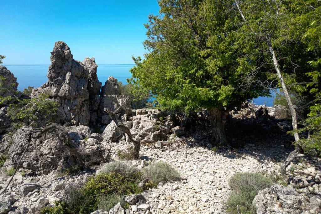 Razgledna skala nad morjem na poti proti sv. Blaž na otoku Cres