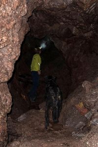 Vhod v nekdanji rudnik mangana na Begunjščici ob planinski poti