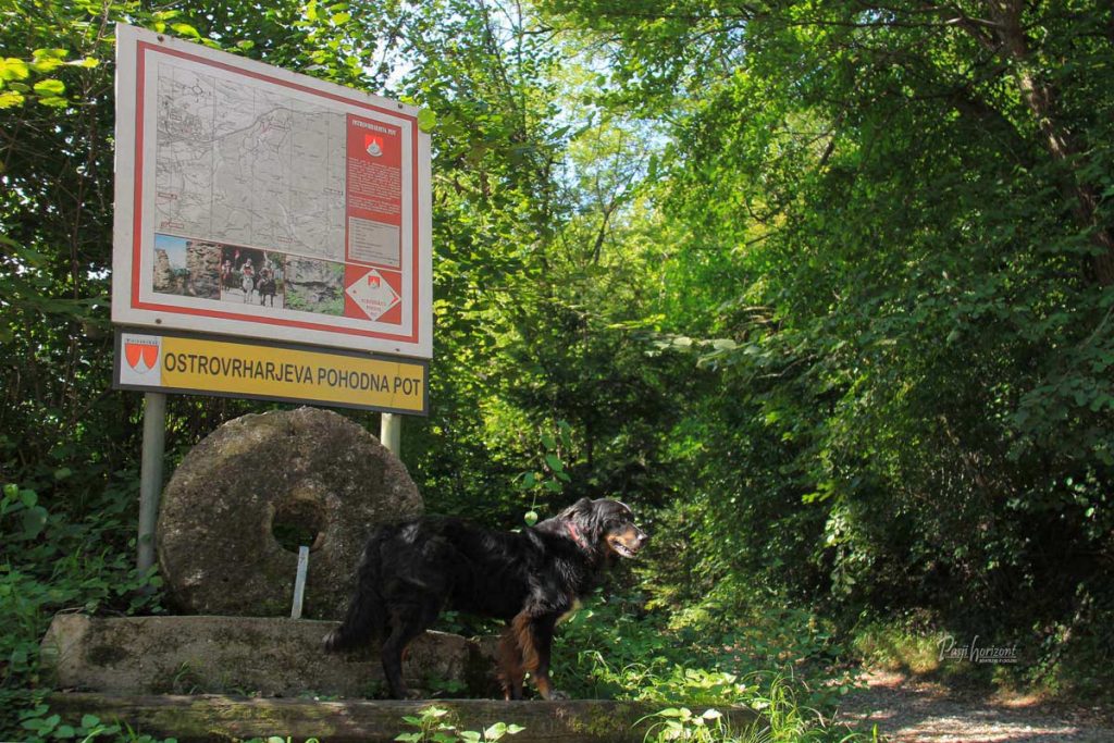 Ostrovrharjeva pohodna pot v Besnici