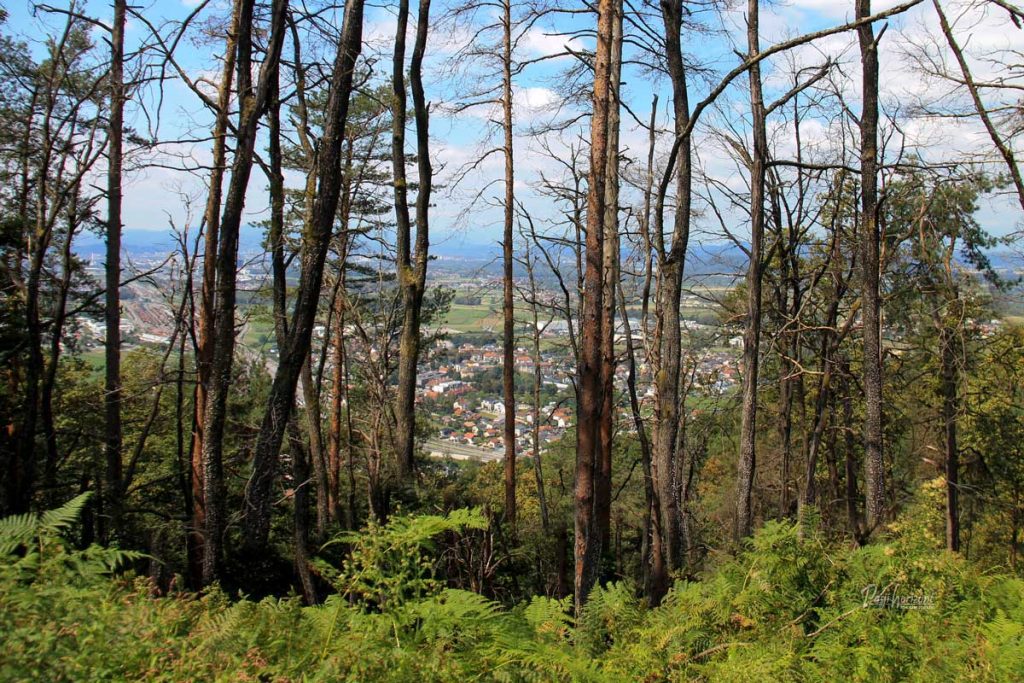 Panorama proti Zalogu z grebena