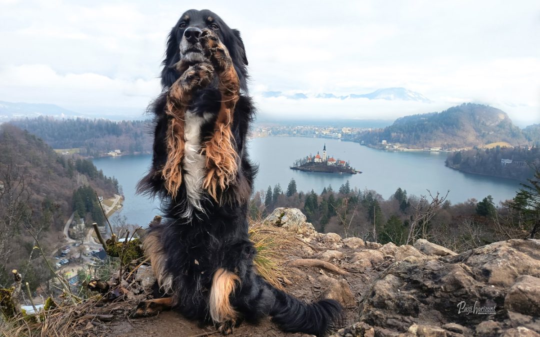 Ojstrica razglednik, mala Osojnica in Bled