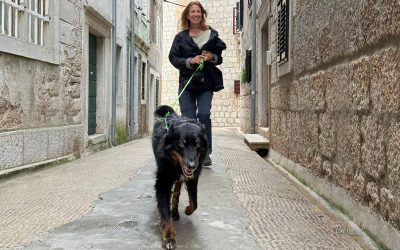 Pasji bonton zunaj “domače ograje”