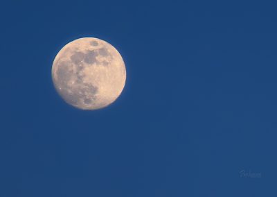 Polna luna nad Sečoveljskimi solinami