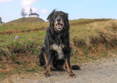 Pasji govor pod svetim Jakobom, Polhograjsko hribovje