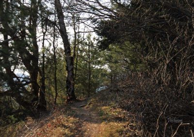 Pot z Roga proti sveti Katarini