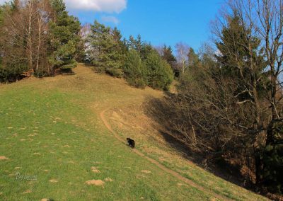 Pot proti Rogu, Polhograjsko hribovje