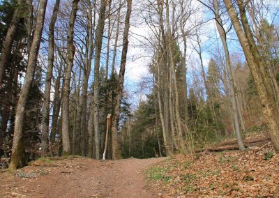 Smerna tabla na poti proti svetemu Jakobu