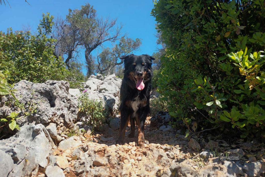 Gremo malo v hrib, Cres