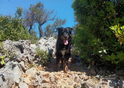 Gremo malo v hrib, Cres
