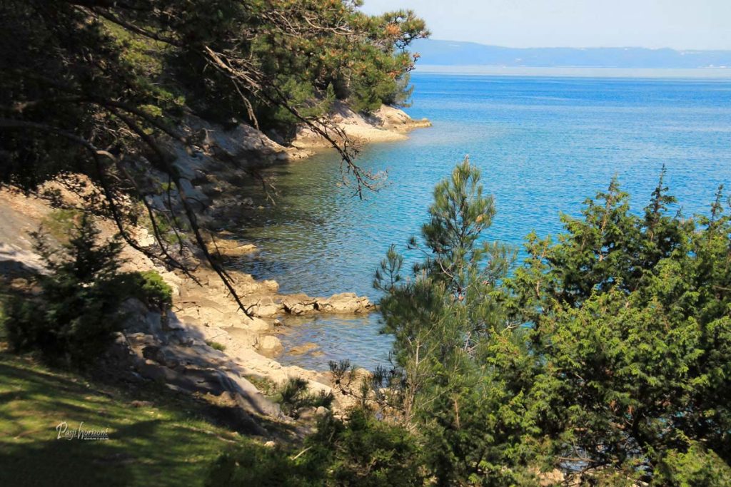 Zaliv z iglavci ob turkiznem morju in kamniti obali Cresa