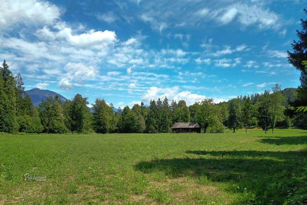 Travnik ob poti nazaj proti Bodeškemu mostu
