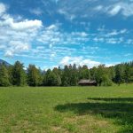 Travnik ob poti nazaj proti Bodeškemu mostu