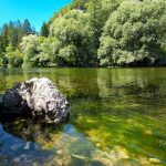 Sava Bohinjka z odsevom dreves pri Bodeškem mostu