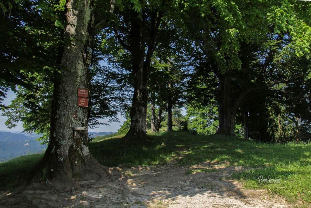 Senca ob cerkvi na Osolniku