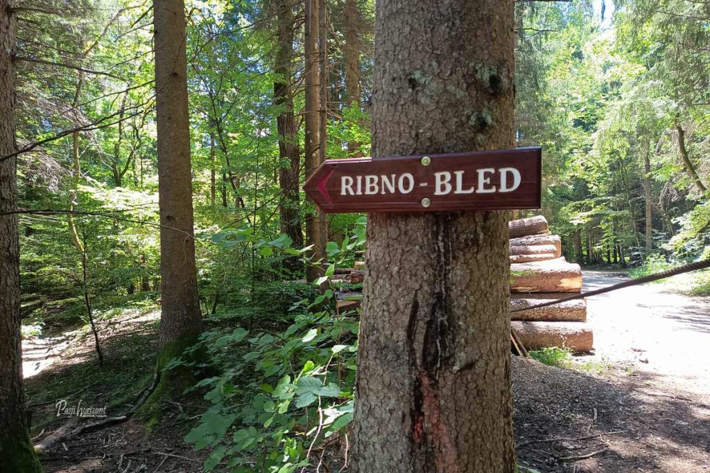 Smerna tabla za Ribno in Bled