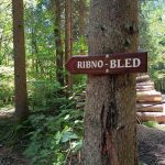 Smerna tabla za Ribno in Bled
