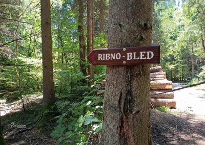 Smerna tabla za Ribno in Bled